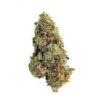 Cherry Punch Strain,cherry punch strain ,black cherry punch strain ,cherry punch weed strain,cherry punch,black cherry punch,cherry punch weed strain