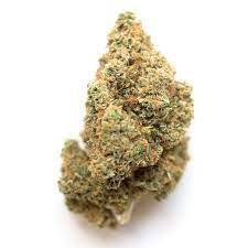 guava gelato,guava gelato strain,blue guava gelato strain,blue guava gelato ,guava mints strain,white guava gelato ,guavalato strain ,white guava gelato strain gelato indica or sativa