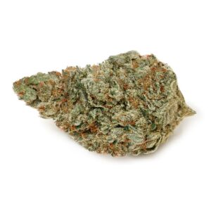 jet fuel gelato strain,jet fuel gelato strain effects,gelato jet fuel strain,jet fuel gelato weed strain,jet fuel gelato,jet fuel gelato seeds