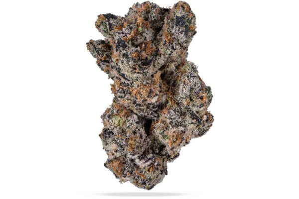 pure michigan strain,pure michigan weed strain,pure michigan strain info,pure michigan 2.0 strain,pure michigan marijuana strain,pure michigan strain indica or sativa ,pure.michigan strain ,pure michigan strain price