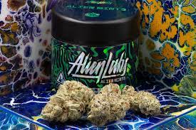 Alien Mints Strain